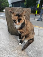 CPP114通讯员